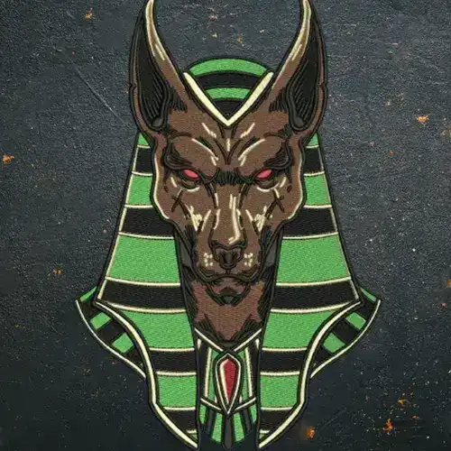 Anubis Egyptian god vector